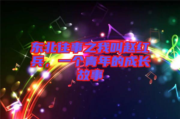 東北往事之我叫趙紅兵，一個(gè)青年的成長(zhǎng)故事