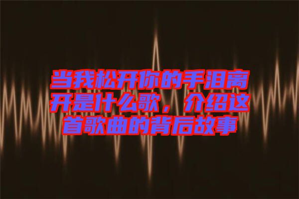 當我松開你的手淚離開是什么歌，介紹這首歌曲的背后故事
