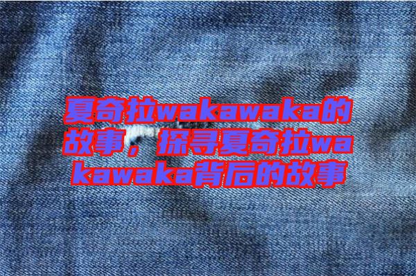 夏奇拉wakawaka的故事，探尋夏奇拉wakawaka背后的故事
