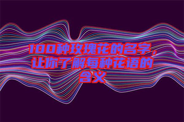 100種玫瑰花的名字，讓你了解每種花語的含義