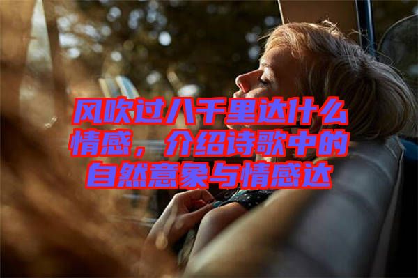 風(fēng)吹過八千里達什么情感，介紹詩歌中的自然意象與情感達
