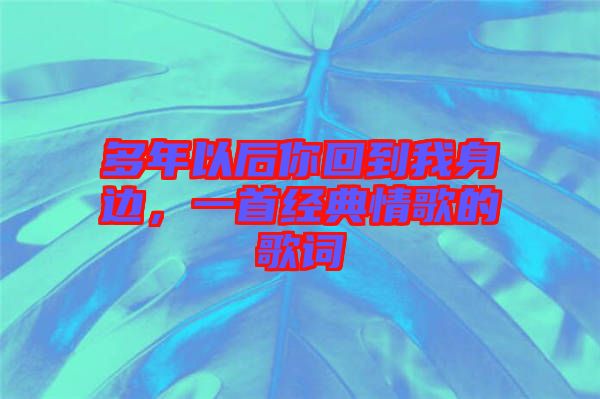多年以后你回到我身邊，一首經(jīng)典情歌的歌詞
