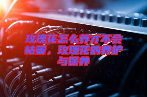 玫瑰花怎么養(yǎng)才不會枯萎，玫瑰花的養(yǎng)護與保養(yǎng)