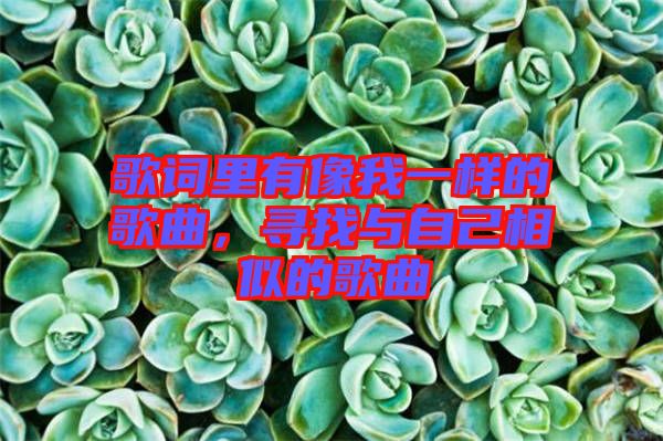 歌詞里有像我一樣的歌曲，尋找與自己相似的歌曲