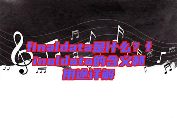 finaldata是什么？finaldata的含義和用途詳解