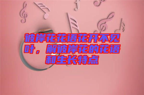 彼岸花花語花開不見葉，解彼岸花的花語和生長特點