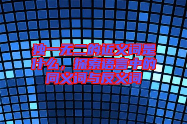 獨(dú)一無二的近義詞是什么，探索語言中的同義詞與反義詞