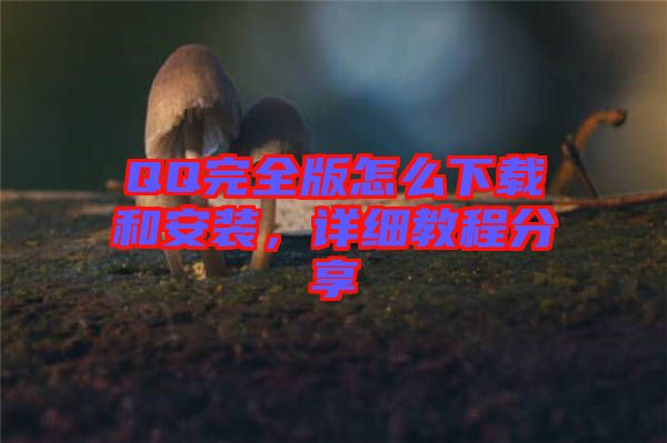 QQ完全版怎么下載和安裝，詳細(xì)教程分享