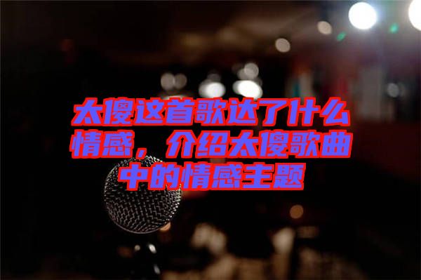 太傻這首歌達(dá)了什么情感，介紹太傻歌曲中的情感主題
