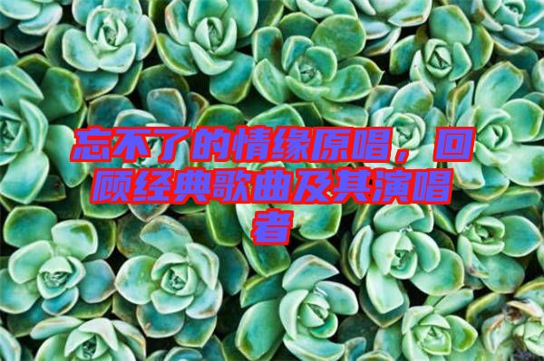 忘不了的情緣原唱，回顧經(jīng)典歌曲及其演唱者