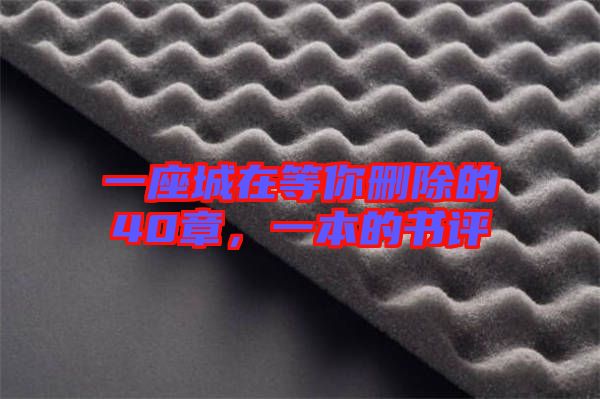一座城在等你刪除的40章，一本的書評
