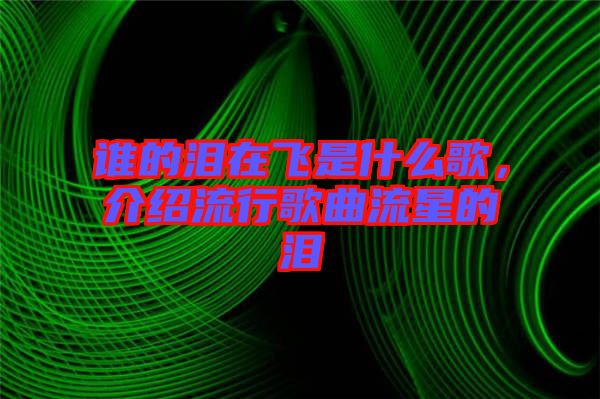 誰(shuí)的淚在飛是什么歌，介紹流行歌曲流星的淚