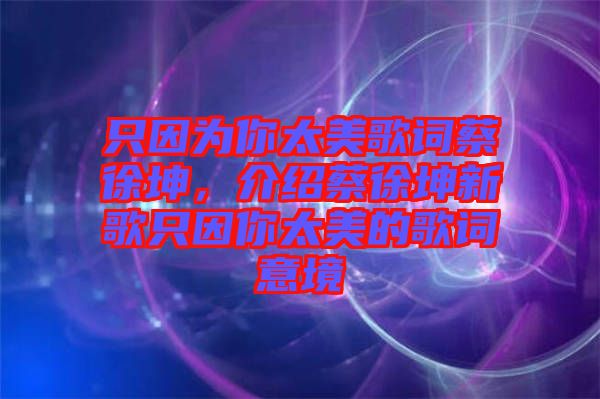 只因?yàn)槟闾栏柙~蔡徐坤，介紹蔡徐坤新歌只因你太美的歌詞意境