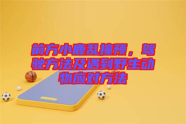 前方小鹿亂撞預(yù)，駕駛方法及遇到野生動(dòng)物應(yīng)對(duì)方法