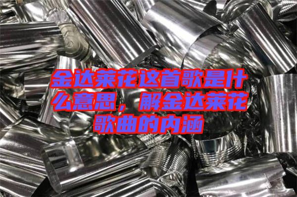 金達(dá)萊花這首歌是什么意思，解金達(dá)萊花歌曲的內(nèi)涵