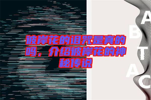 彼岸花的詛咒是真的嗎，介紹彼岸花的神秘傳說