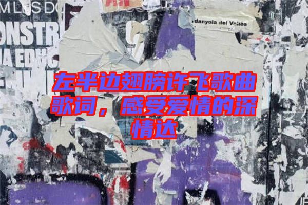 左半邊翅膀許飛歌曲歌詞，感受愛情的深情達(dá)