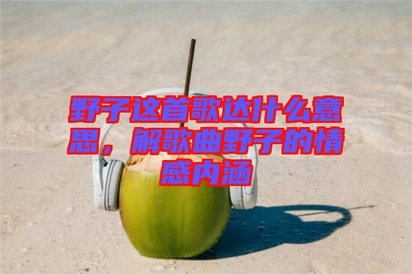 野子這首歌達什么意思，解歌曲野子的情感內(nèi)涵
