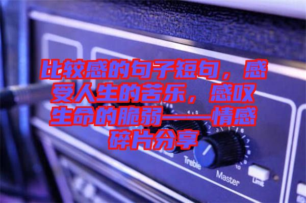 比較感的句子短句，感受人生的苦樂，感嘆生命的脆弱——情感碎片分享