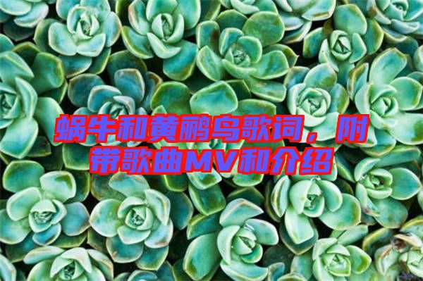 蝸牛和黃鸝鳥歌詞，附帶歌曲MV和介紹