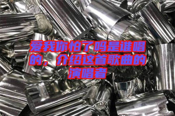 愛我你怕了嗎是誰唱的，介紹這首歌曲的演唱者