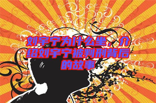 劉宇寧為什么坐，介紹劉宇寧被判刑背后的故事