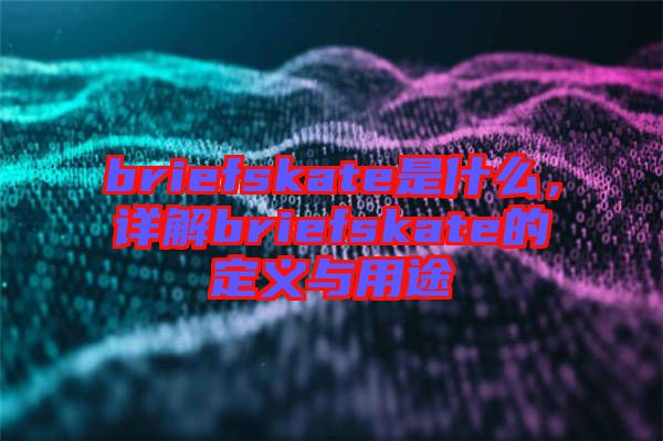 briefskate是什么，詳解briefskate的定義與用途