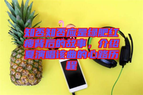 知否知否應(yīng)是綠肥紅瘦背后的故事，介紹夏演唱該曲的心路歷程