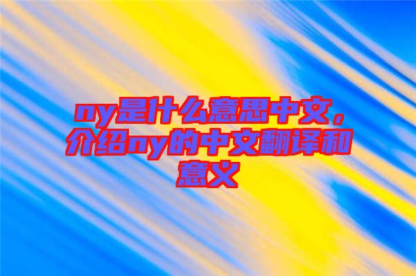 ny是什么意思中文，介紹ny的中文翻譯和意義