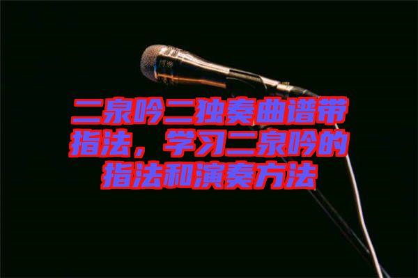 二泉吟二獨(dú)奏曲譜帶指法，學(xué)習(xí)二泉吟的指法和演奏方法