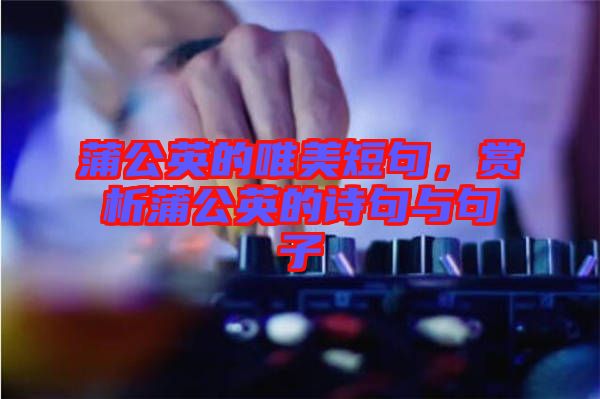 蒲公英的唯美短句，賞析蒲公英的詩句與句子