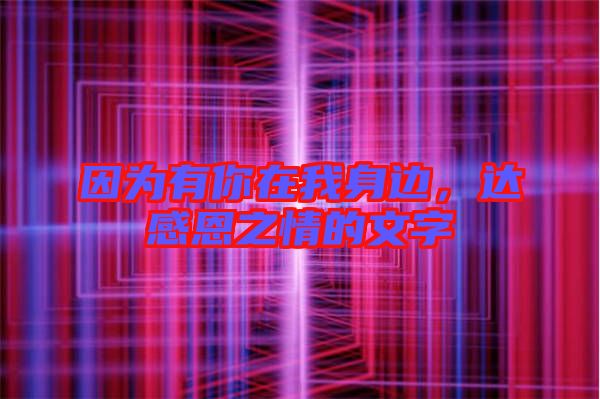 因?yàn)橛心阍谖疑磉?，達(dá)感恩之情的文字