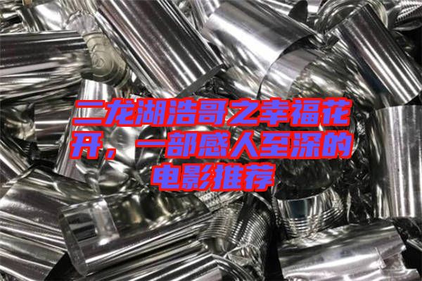 二龍湖浩哥之幸?；ㄩ_，一部感人至深的電影推薦