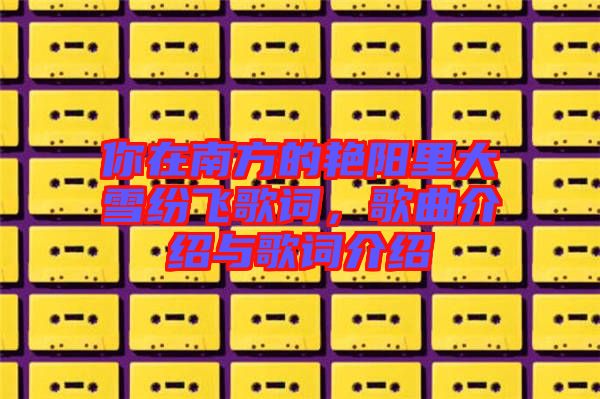 你在南方的艷陽(yáng)里大雪紛飛歌詞，歌曲介紹與歌詞介紹