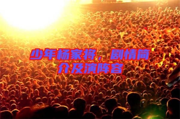 少年楊家將，劇情簡介及演陣容