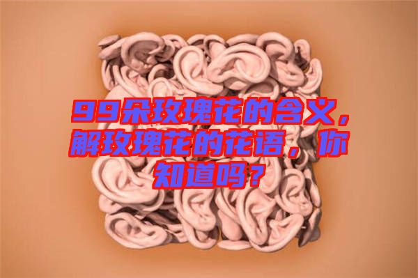99朵玫瑰花的含義，解玫瑰花的花語(yǔ)，你知道嗎？