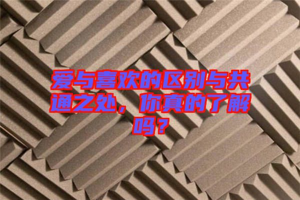 愛與喜歡的區(qū)別與共通之處，你真的了解嗎？