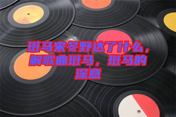 斑馬宋冬野達(dá)了什么，解歌曲斑馬，斑馬的深意