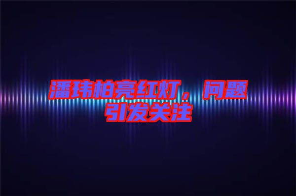 潘瑋柏亮紅燈，問題引發(fā)關(guān)注