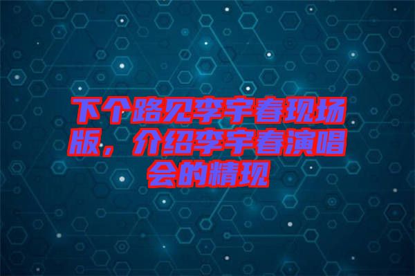 下個路見李宇春現(xiàn)場版，介紹李宇春演唱會的精現(xiàn)