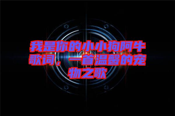 我是你的小小狗阿牛歌詞，一首溫馨的寵物之歌