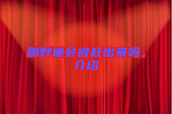 蹦野迪會(huì)被趕出來嗎，介紹