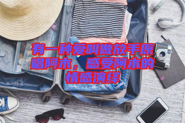 有一種愛叫做放手原唱阿木，感受阿木的情感演繹