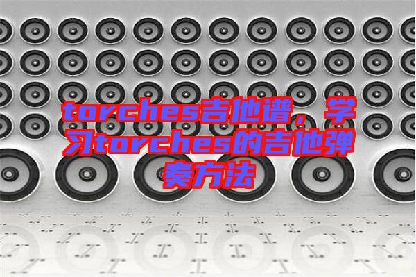 torches吉他譜，學(xué)習(xí)torches的吉他彈奏方法