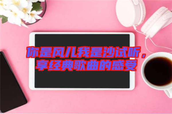 你是風(fēng)兒我是沙試聽，享經(jīng)典歌曲的感受