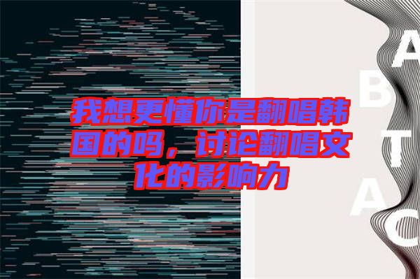 我想更懂你是翻唱韓國的嗎，討論翻唱文化的影響力