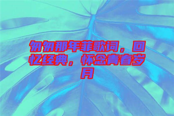 匆匆那年菲歌詞，回憶經(jīng)典，懷念青春歲月