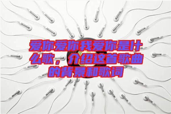 愛你愛你我愛你是什么歌，介紹這首歌曲的背景和歌詞