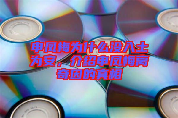 申鳳梅為什么沒入土為安，介紹申鳳梅離奇因的真相