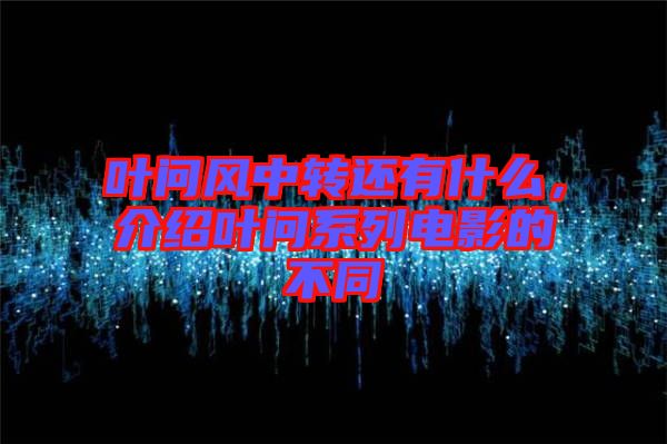 葉問風(fēng)中轉(zhuǎn)還有什么，介紹葉問系列電影的不同